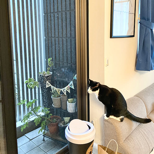 mako2yaさんの実例写真