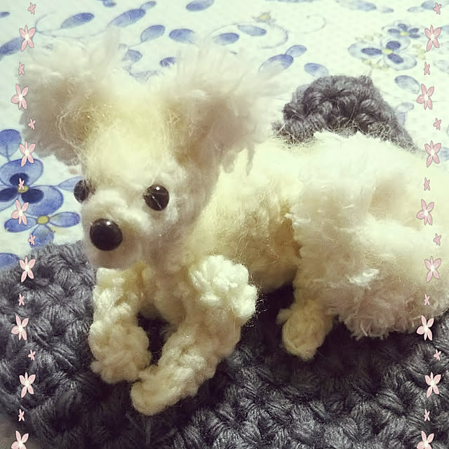 kiraさんの実例写真