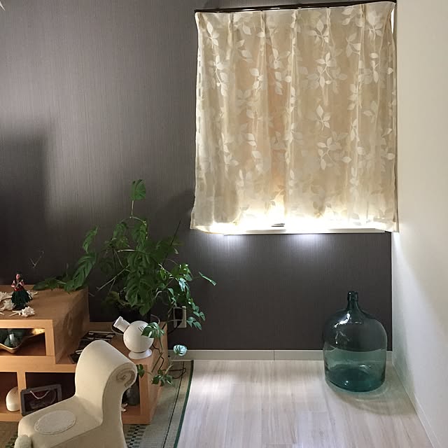 Takacoさんの実例写真