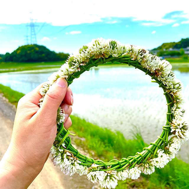 kamomeさんの実例写真