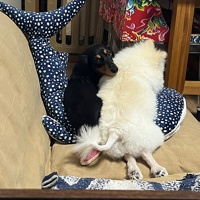 uninekoさんの部屋