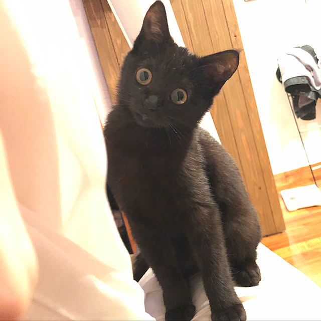 yyy.5028さんの実例写真