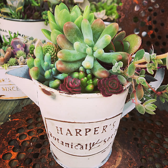 **yuu**さんの実例写真