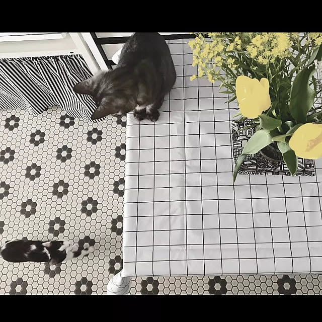 kaoriiiさんの実例写真