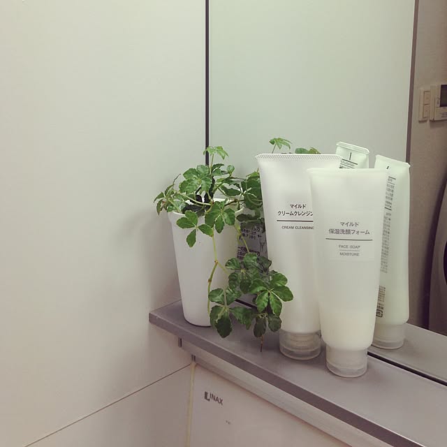 putycaさんの実例写真