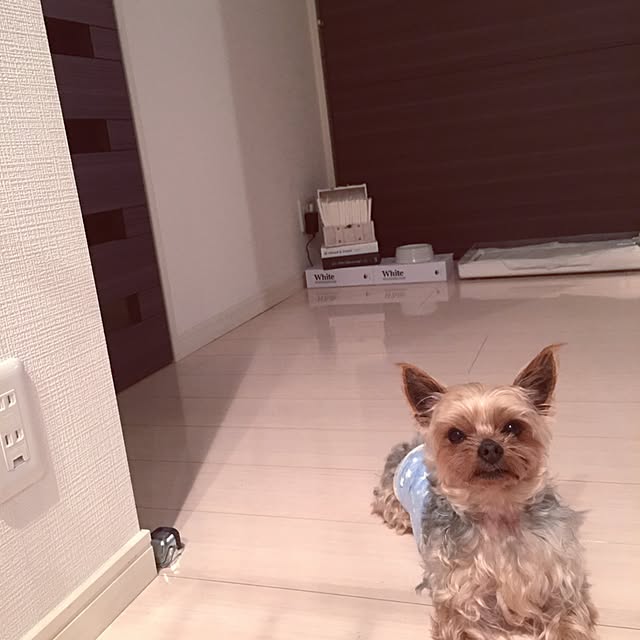Lyonさんの実例写真