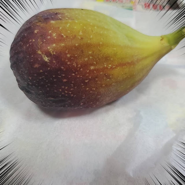 kanaさんの実例写真