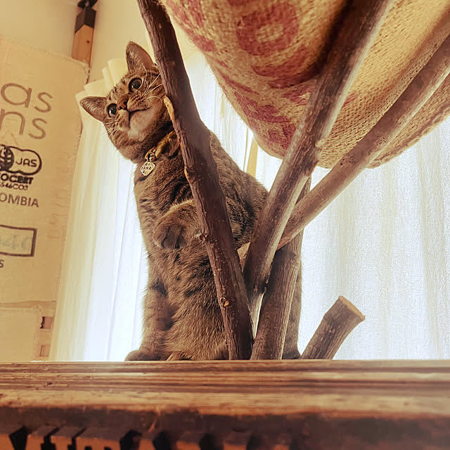 Mさんの実例写真