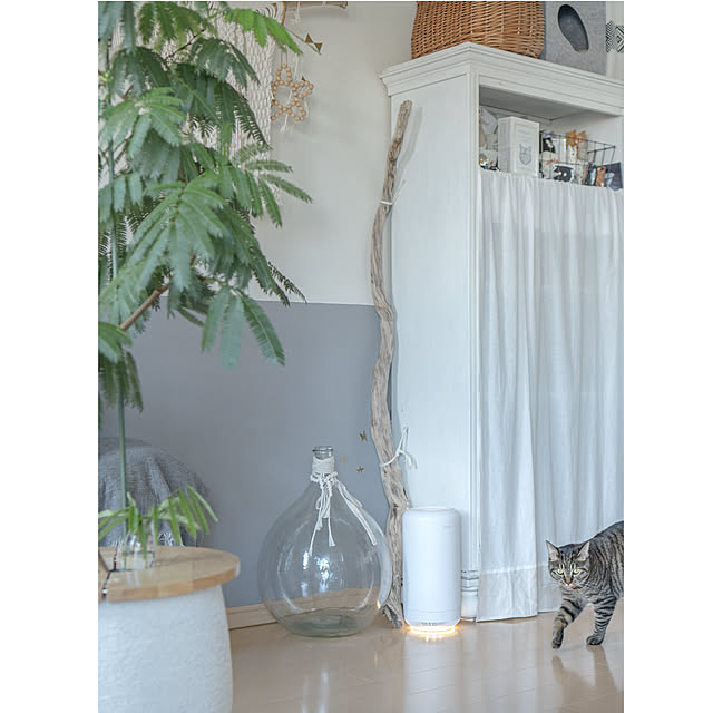 oliveさんの部屋