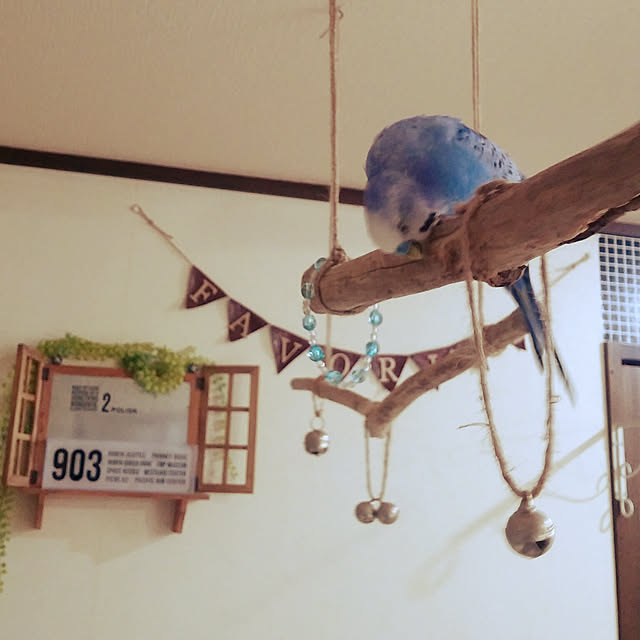 opiopiopiさんの実例写真