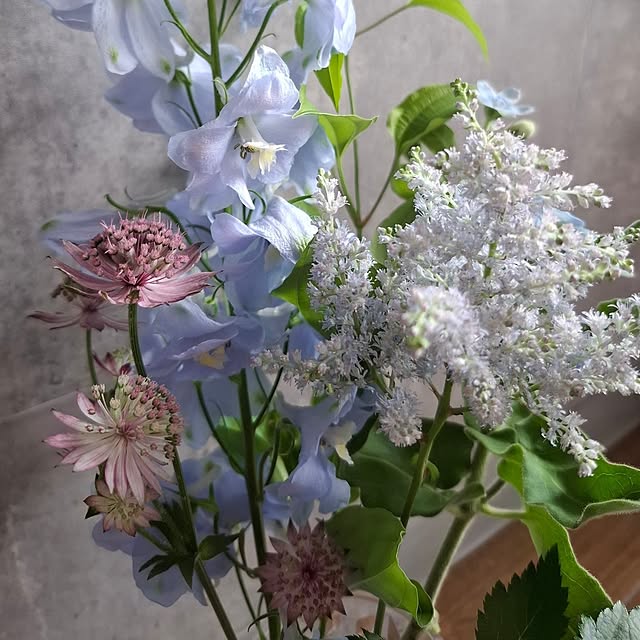 noaさんの部屋