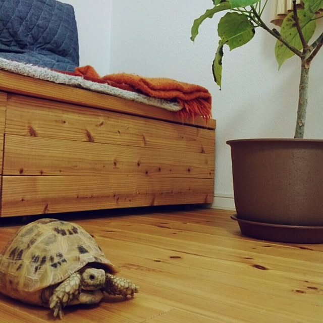 UGさんの実例写真