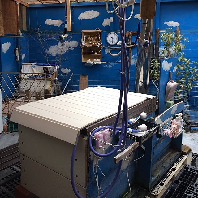 metabo178さんの実例写真
