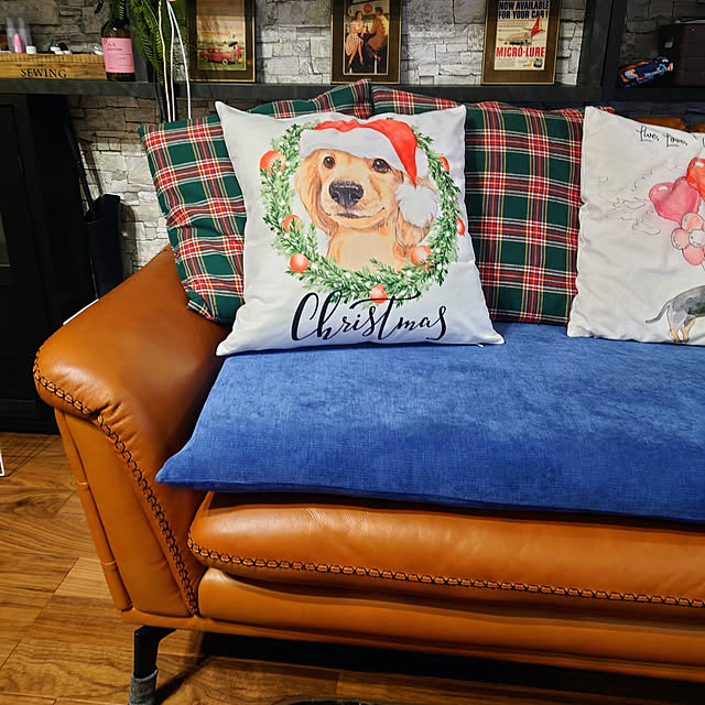 ponchanさんの実例写真