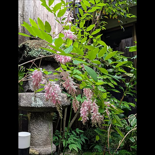 aromameさんの部屋