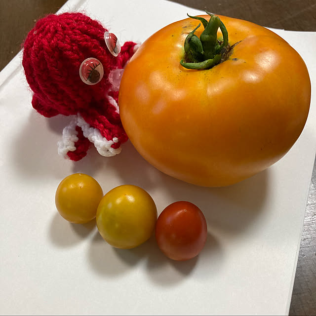 manduonmaさんの実例写真