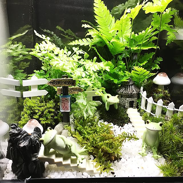 kaerucoさんの実例写真