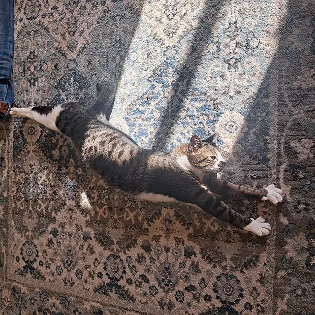 shinoさんの部屋