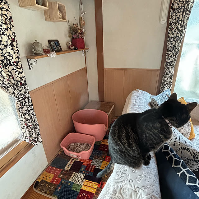momocchiさんの部屋
