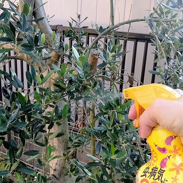 Ri-さんの部屋