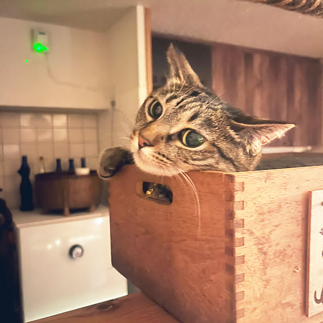 Mさんの部屋