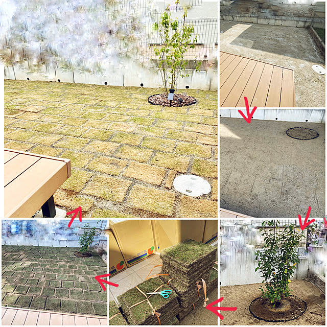 mikigumaさんの実例写真