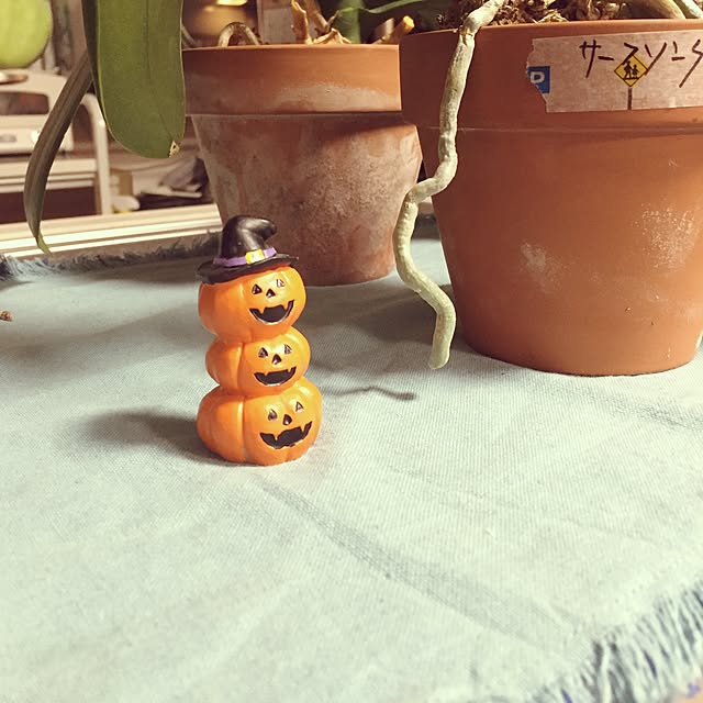 Nanakoさんの実例写真