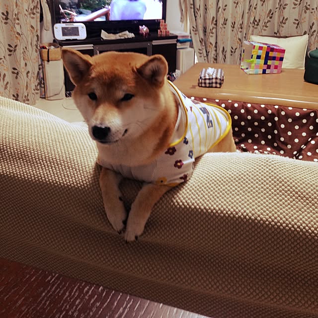 mizutamaさんの実例写真