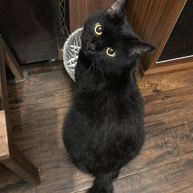 mecchaさんの実例写真
