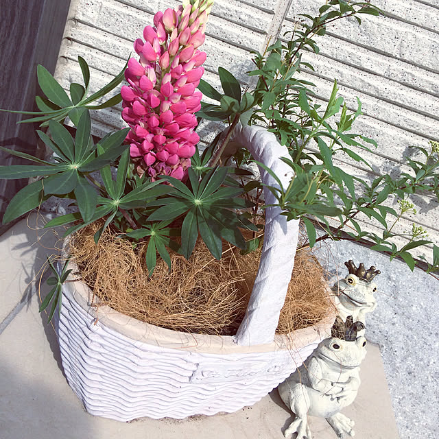 vonさんの実例写真