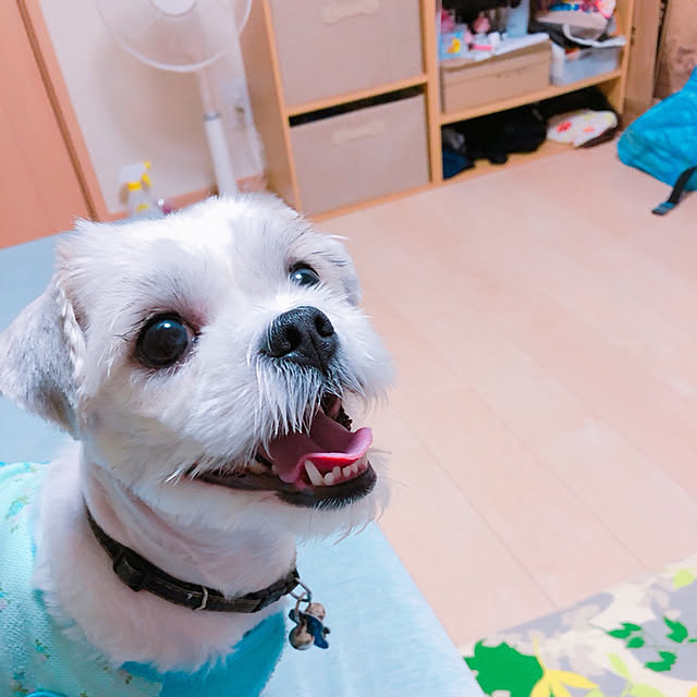 emiさんの実例写真