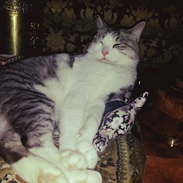 emmyyさんの実例写真