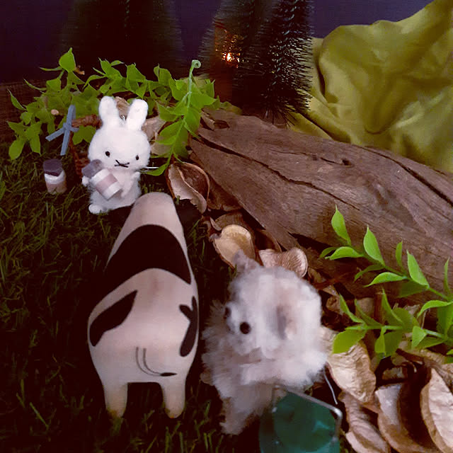 noahさんの実例写真