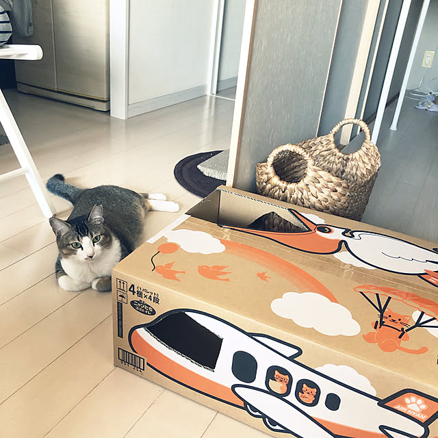nekomiさんの実例写真