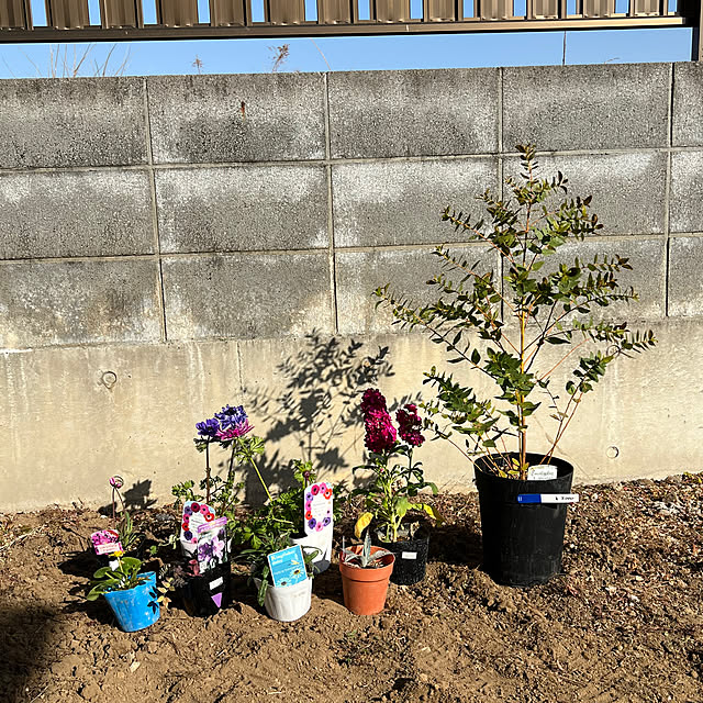 pokowheeさんの部屋