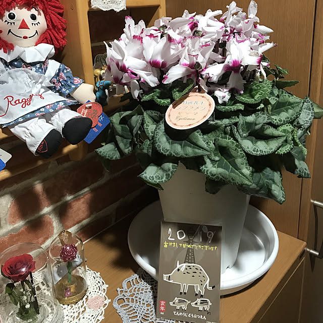 makiさんの実例写真