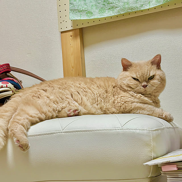 naokoさんの部屋