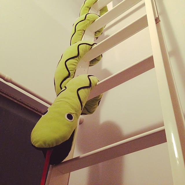 Asamiさんの実例写真