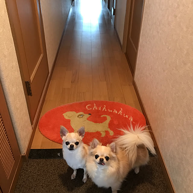 rosemaryさんの実例写真