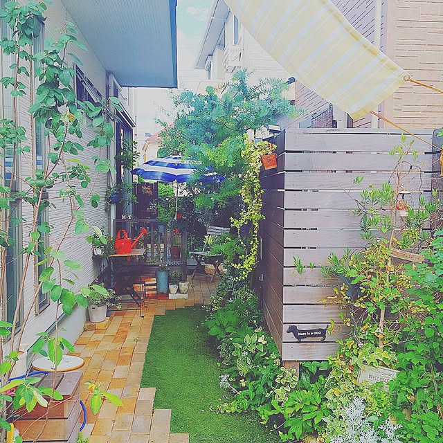 risaさんの実例写真