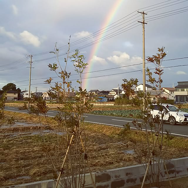 shioriさんの実例写真
