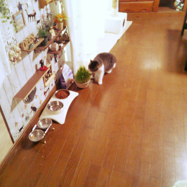 Tomopさんの実例写真