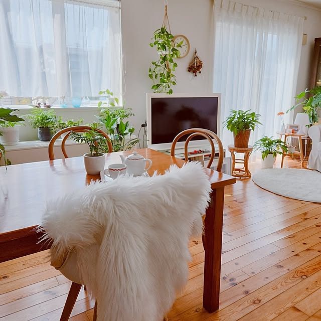実例写真