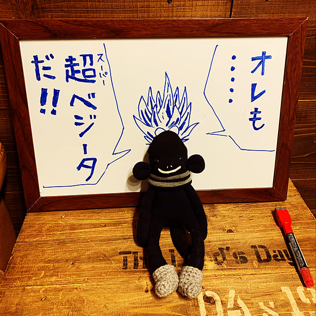 disk1mauloaさんの実例写真