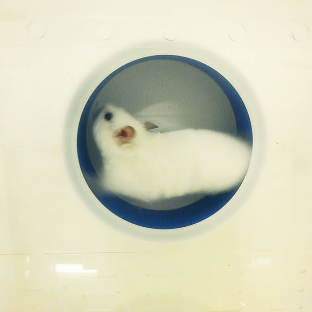 a01さんの実例写真