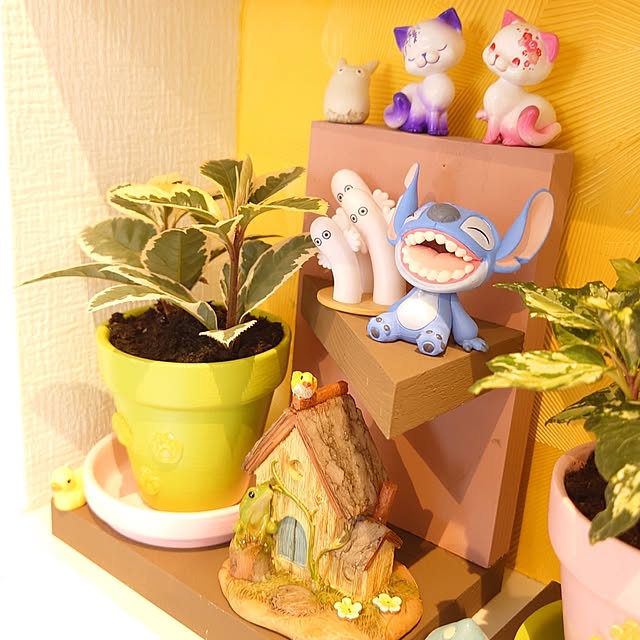 kohakuさんの部屋