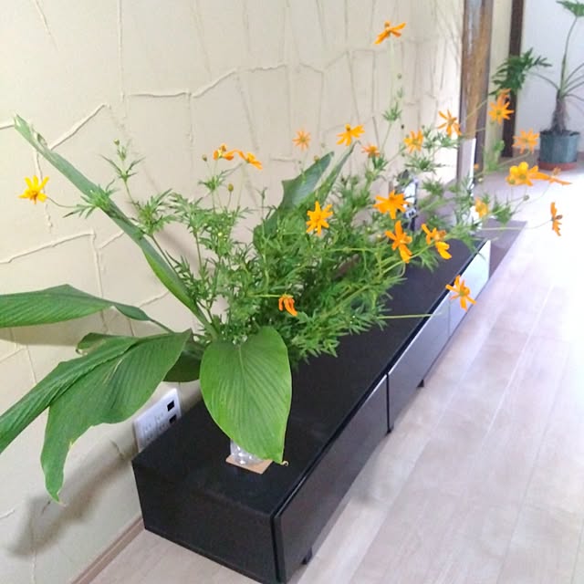 coco1204さんの部屋