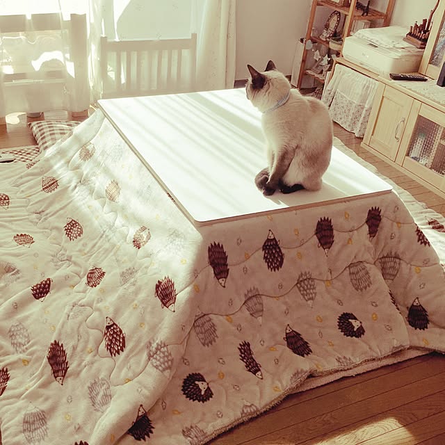 mintcatさんの実例写真