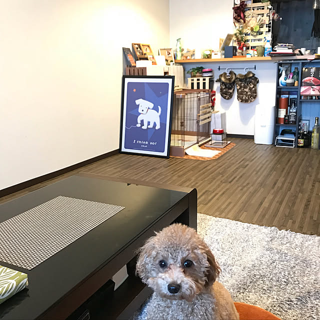 Karinさんの実例写真