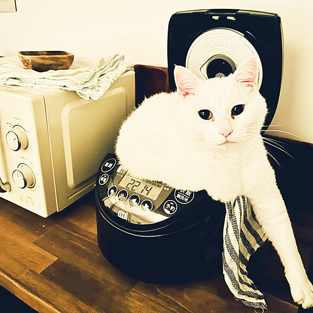 R.さんの実例写真